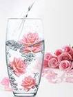 Woda różana destylat PAMIR 300ml (3)